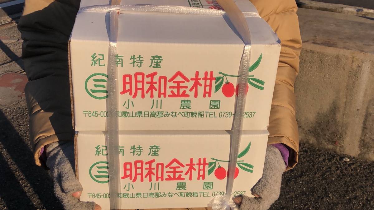 和歌山 紀南特産 明和金柑 きんかん 秀品 2L 2箱 (7.5kg)_画像6