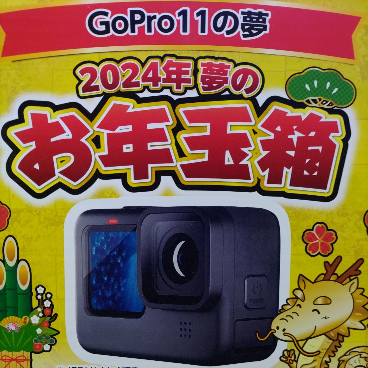 ヨドバシカメラ GoPro11の夢 2024 夢のお年玉箱 福袋