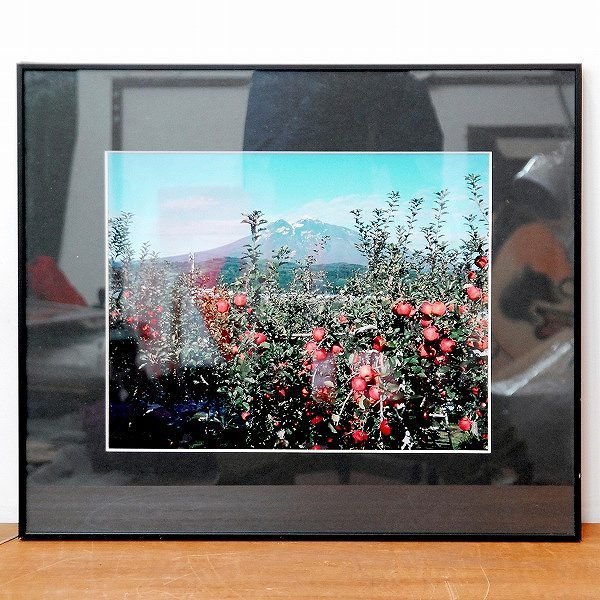 写真・額入『りんごと岩木山』・No.170428-07・梱包サイズ140_画像1