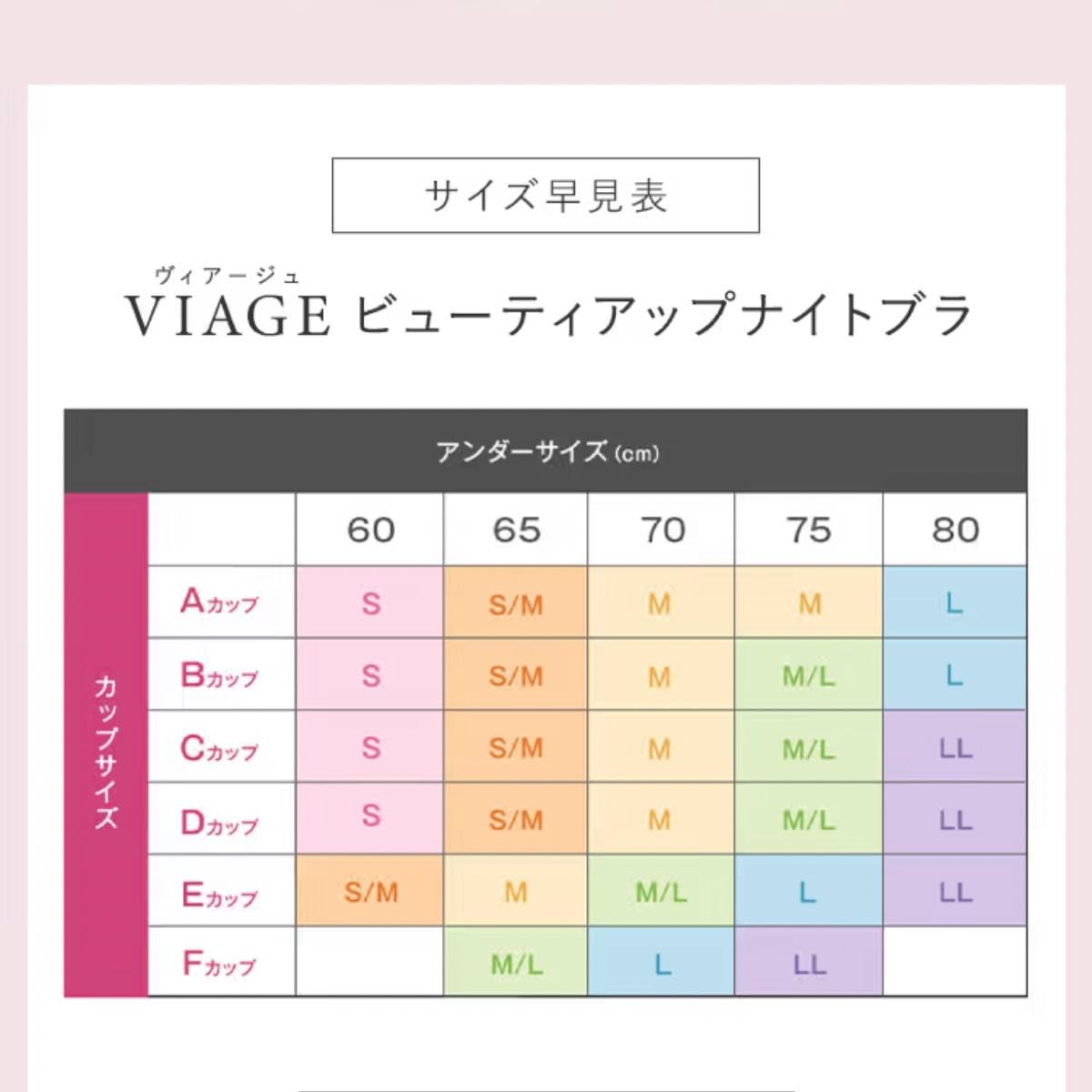 　VIAGE ナイトブラ ヴィアージュ　ブラック&グレー　Mサイズ