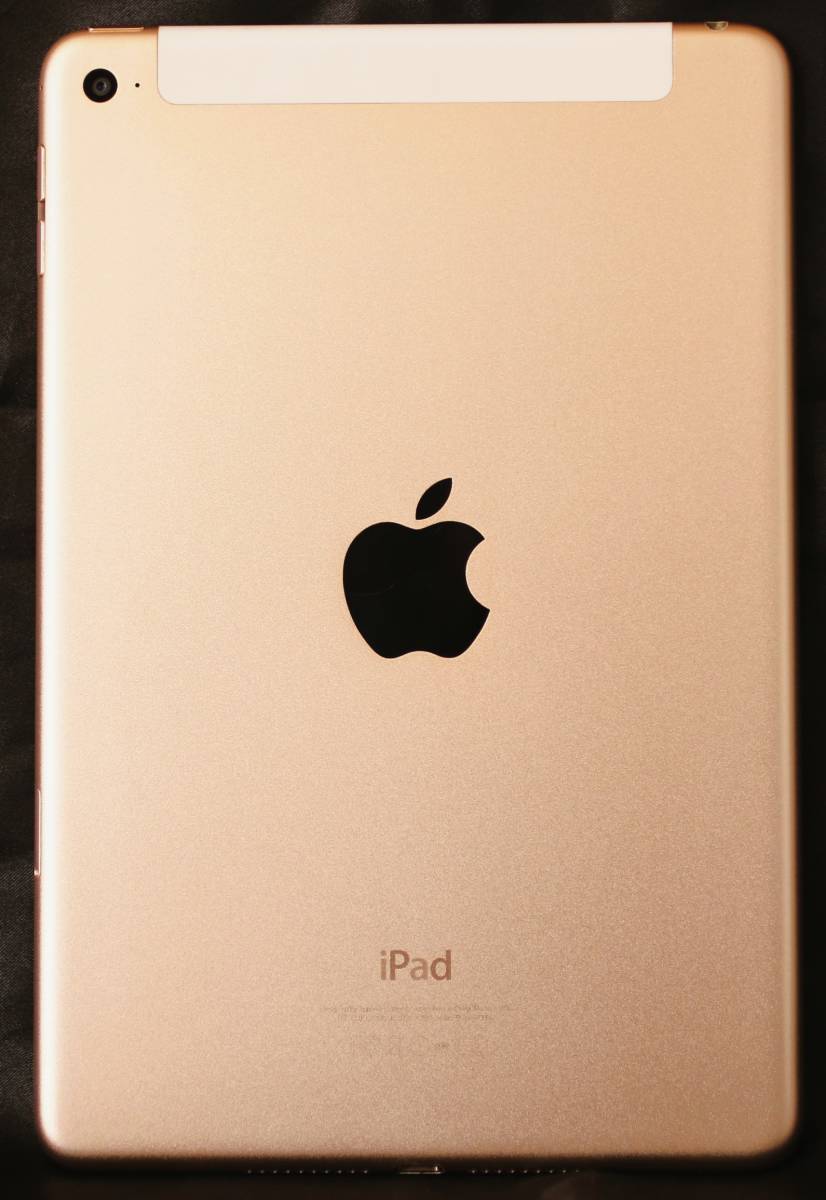 Apple (アップル) iPad mini 4 16GB ゴールド au MK712J／A1550 初期化済_画像3