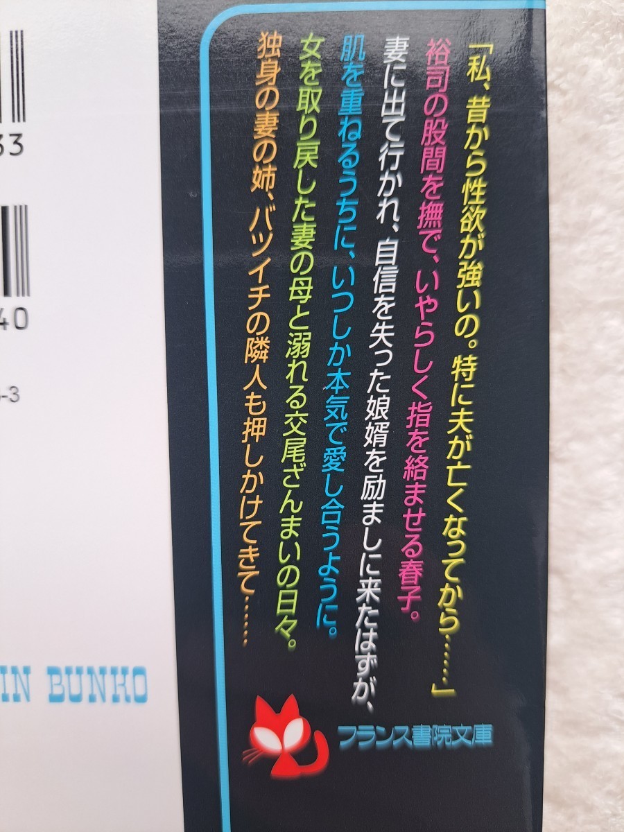 官能小説　高宮柚希　高岡智空　娘が寝たあとで　欲求不満な妻母と新居で二人きり　フランス書院文庫_画像4