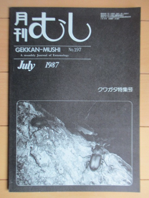 月刊むし　クワガタ特集号　197号　1987年7月号　/コルリクワガタ/ツヤハグクワガタ/ツヤクワガタ/アカマルバネクワガタ/オオクワガタ_画像1