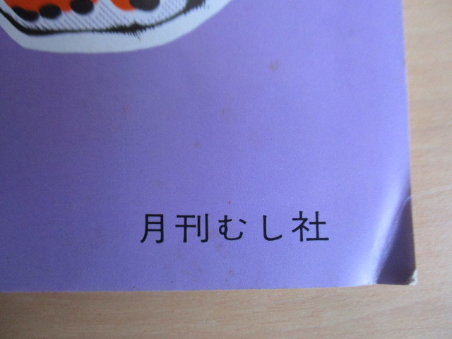 月刊むし　4号　1971年7月号　/ヤエヤマムラサキの生態/静岡県の蝶類分布/奄美から屋久へカミキリ/採集地案内/蝶/蛾/カミキリ_画像9