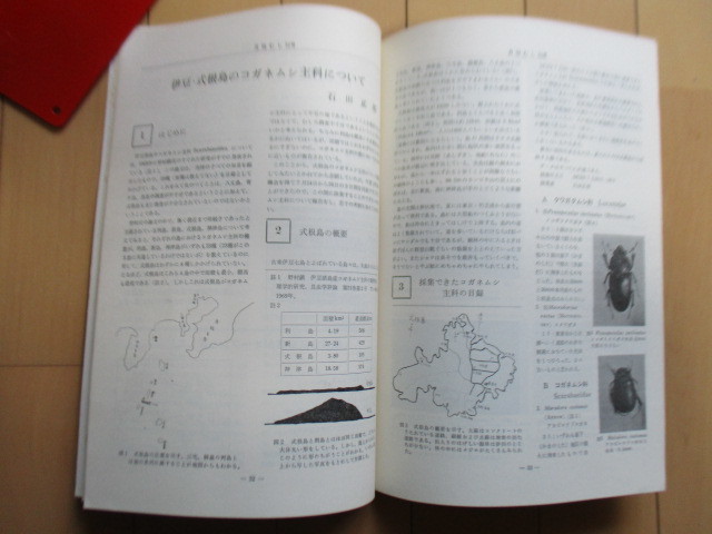 月刊むし 32号 1973年11月号 /スマトラ・ボルネオの蝶/山形県の蝶類分類/伊豆・式根島のコガネムシ/昆虫の画像7