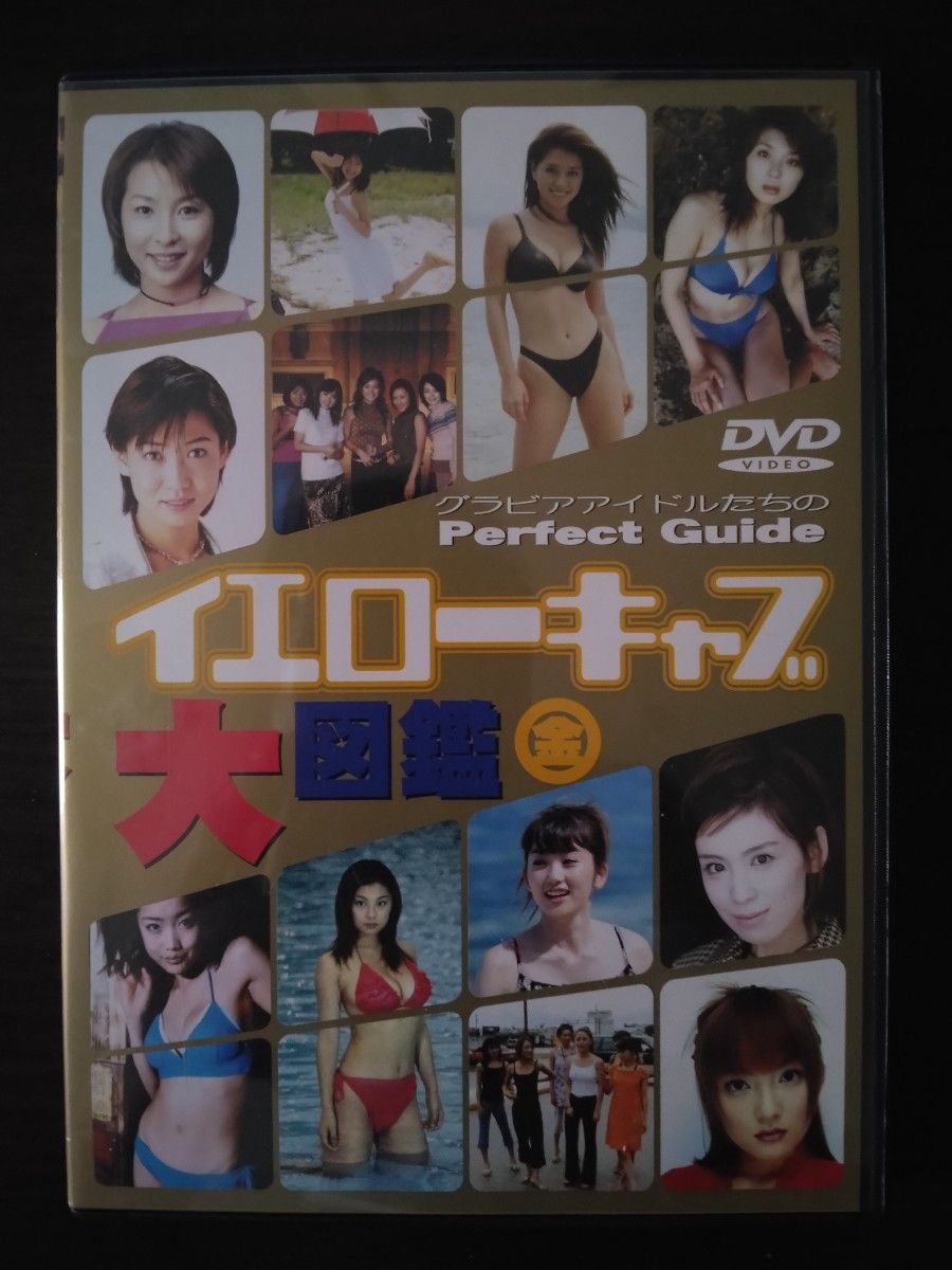 グラドルDVD 2点セット「グラビアアイドルたちのPerfect Guide イエローキャブ大図鑑 (金)・(銀)」激レア品!!