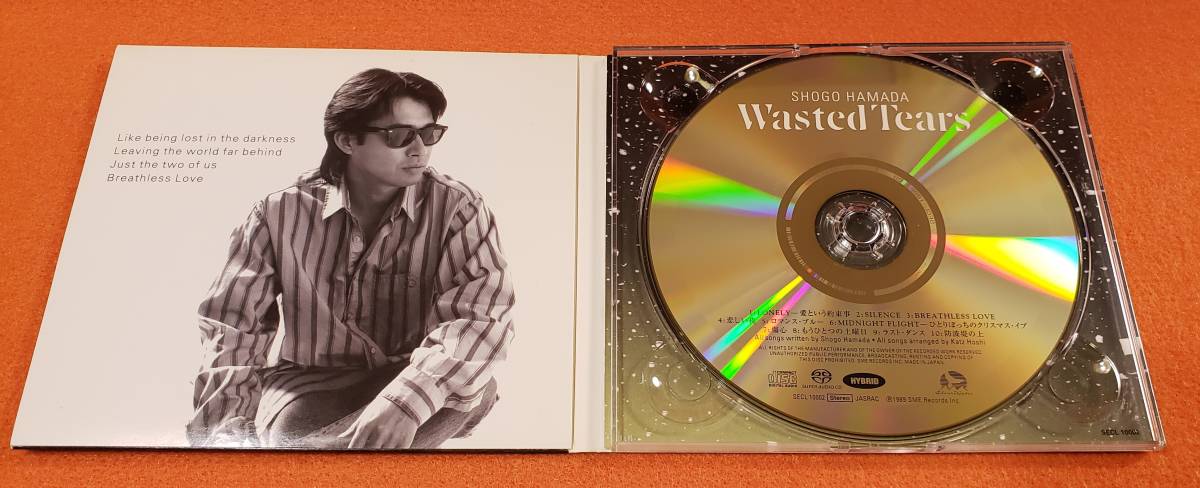 浜田省吾SACD（ハイブリッド）仕様 Sand Castle/Wasted Tears//初秋(Early Autumn) ３点セット_画像7