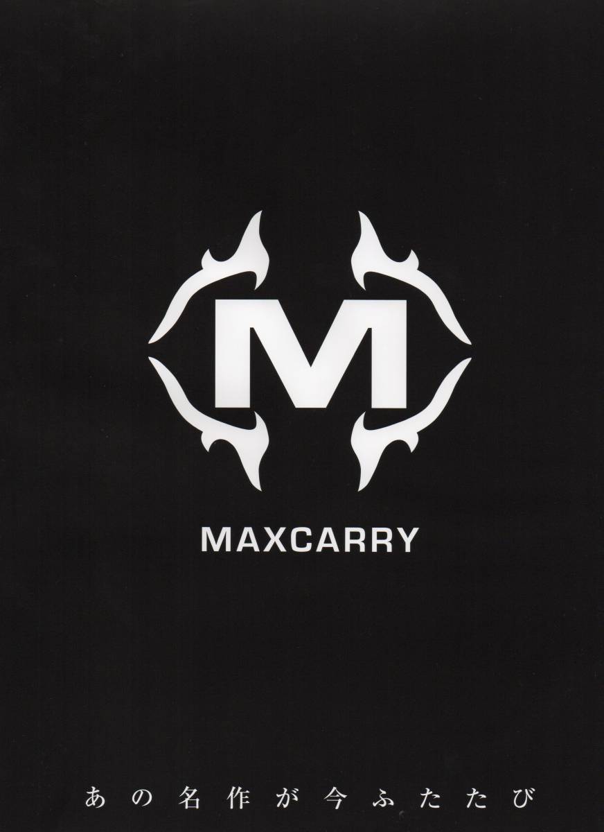 MAX CARRY　マックスキャリー Utility AF-Y UT/27 ■ユーティリティ■ 【ヘッドのみ】_画像5