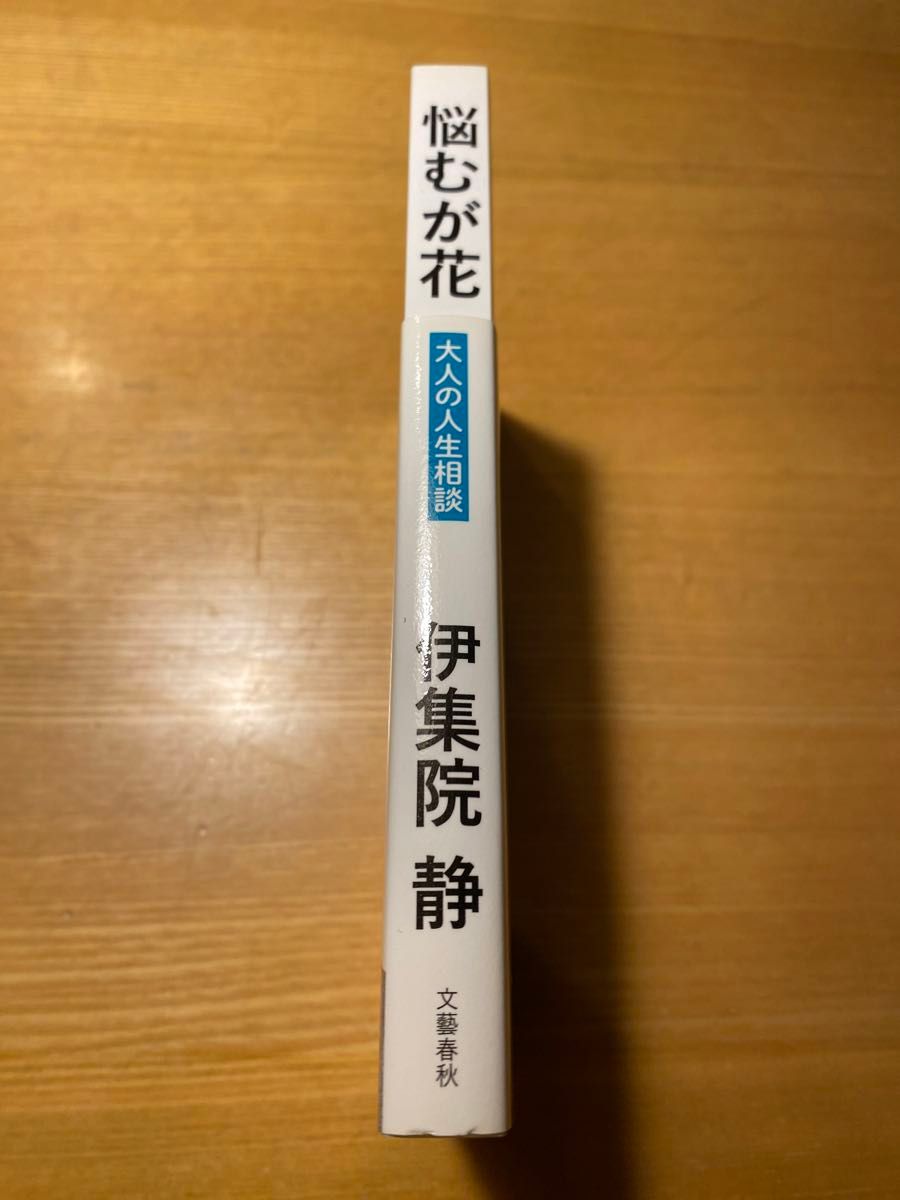 悩むが花　大人の人生相談 伊集院静／著