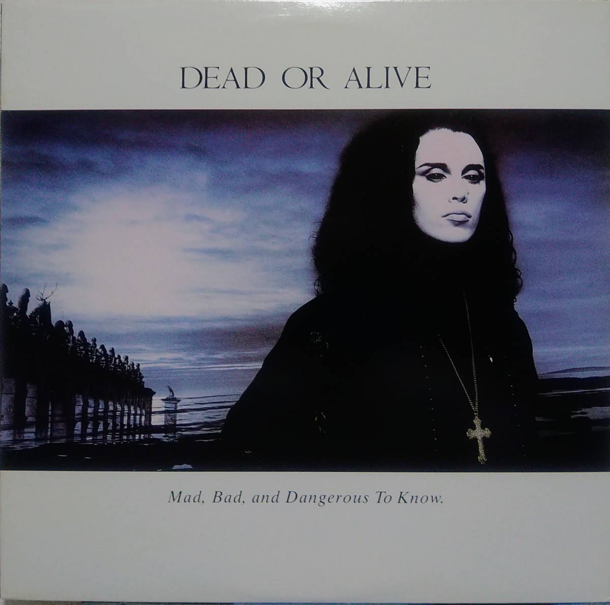 【LP Euro Beat】Dead Or Alive「Mad, Bad And Dangerous To Know」オリジナル US盤 Brand New Lover.Something In My House. 他 収録！_ジャケット
