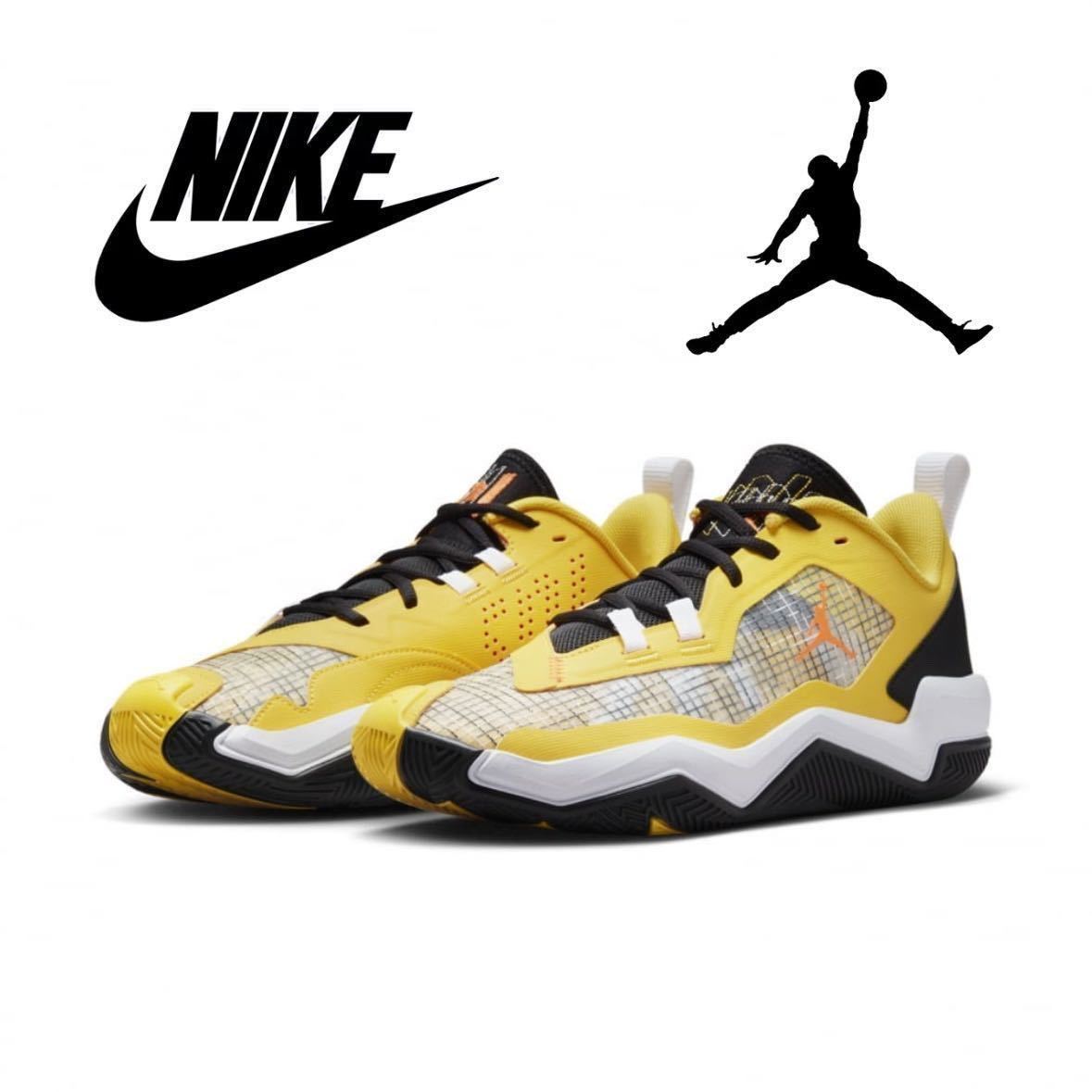 27.5cm 新品 NIKE JORDAN ONE TAKE 4 PF ジョーダン ワン テイク 27.5cm 新品 NIKE JORDAN ONE TAKE 4 PF ジョーダン ワン テイク
