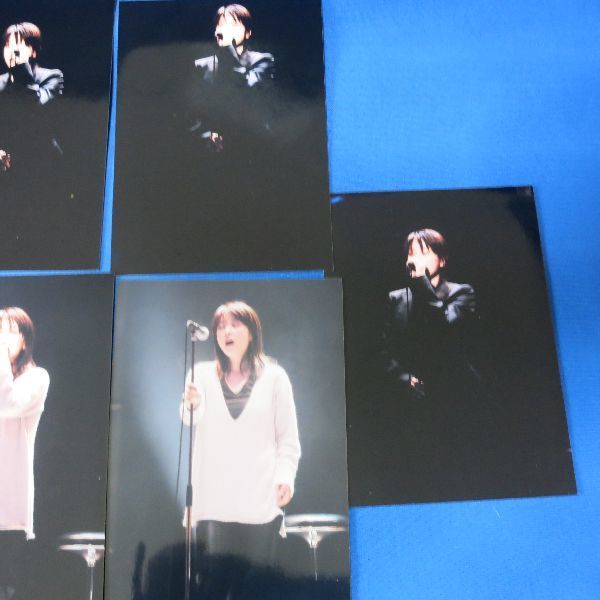 ZARD 坂井泉水 WBM2004 生写真 ９枚_画像3