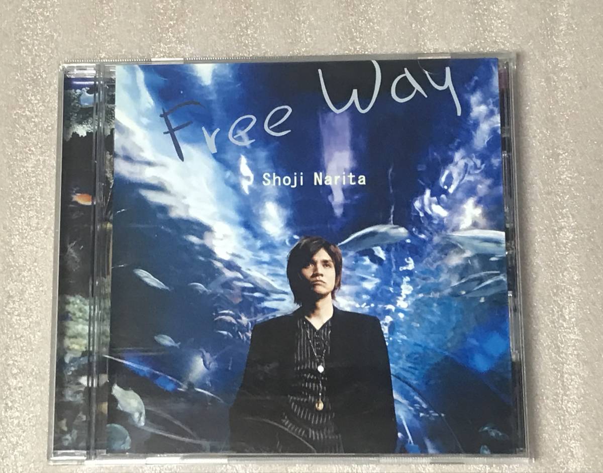 ★送料込み★男闘呼組 成田昭次 CD フリーウェイ FreeWay　プロモ盤　レア　貴重　廃盤_画像1