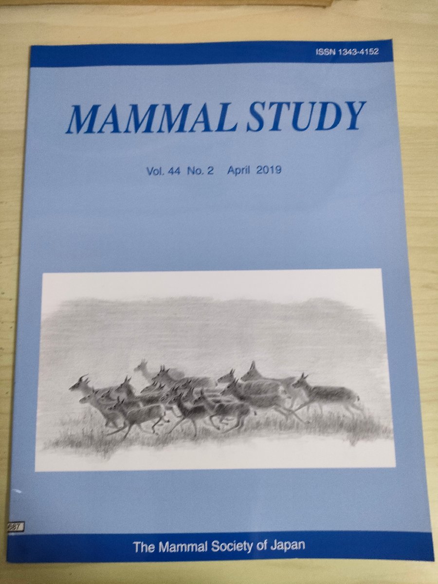 哺乳類の研究/MAMMAL STUDY 2019 Vol.44 No.2 日本哺乳類学会/ハナゴンドウの生態学的および生物学的特徴/ヒメモゲラ/生物学/洋書/B3227117_画像1