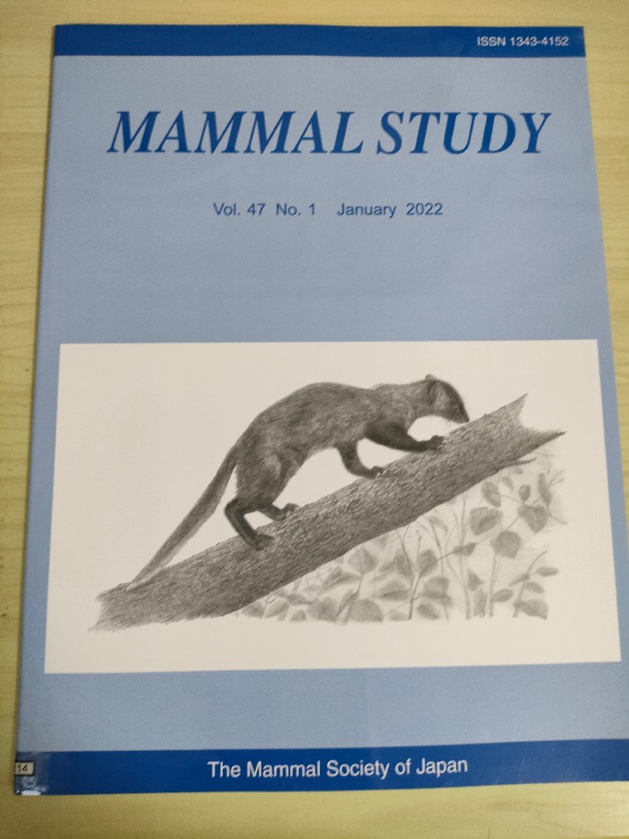 哺乳類の研究/MAMMAL STUDY 2022 Vol.47 No.1 日本哺乳類学会/テンが通過できる穴の大きさ/ヤマネの摂食量と無力感/生物学/洋書/B3227106_画像1