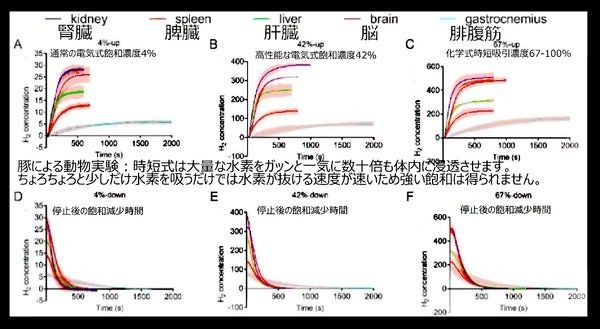 SW式　水素ガス吸引器用　クエン酸触媒　ボトル入り１kg