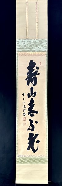 【真作】藤井誡堂「寿山青不老」掛軸 紙本 書 大徳寺515世管長 大徳芳春院二十二世 大徳寺塔頭三玄院住職 茶道具 茶掛け 合箱 ｈ012219_画像3