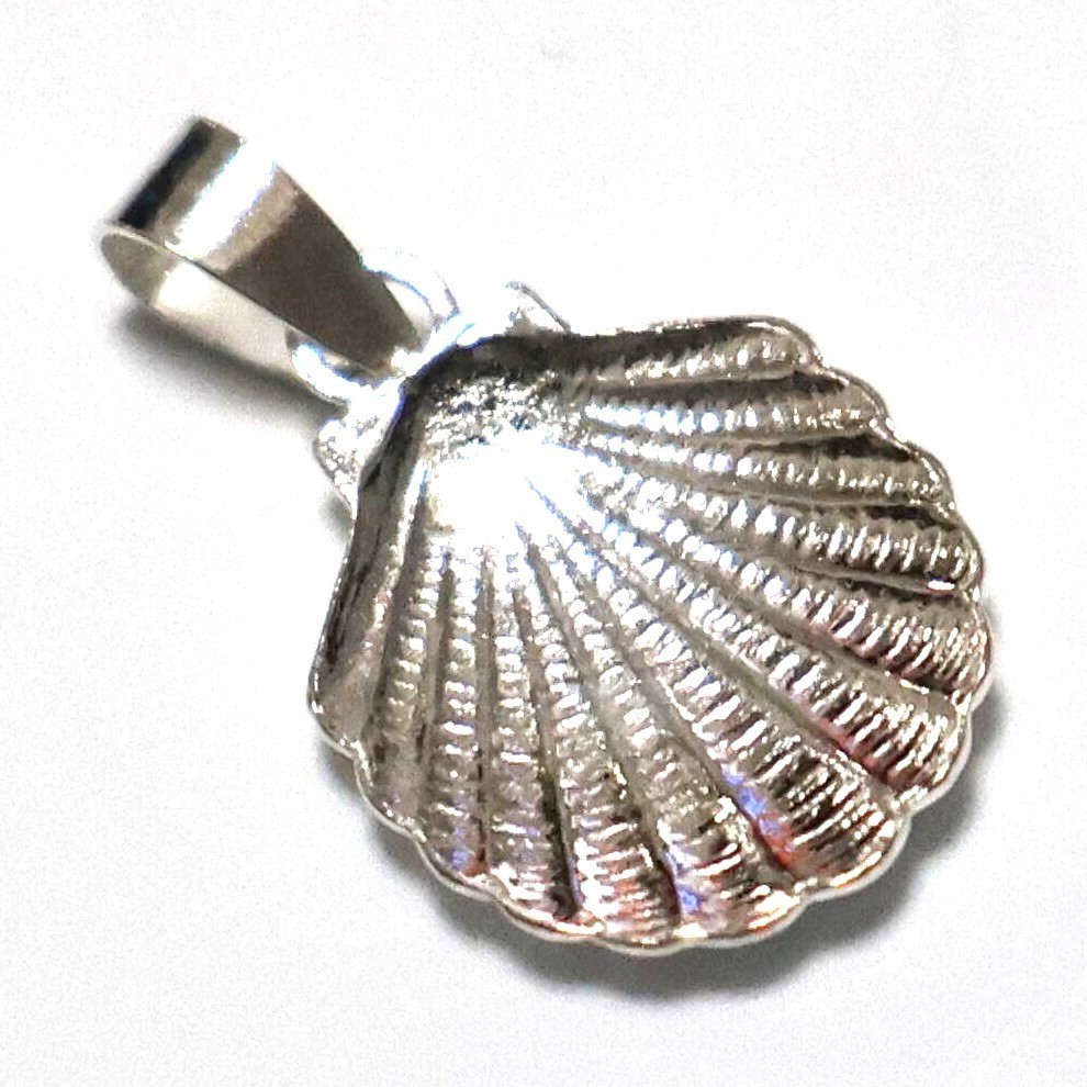 海のひそやかな宝 可愛い貝殻のシルバートップ シルバー925 首飾 新品 迅速配達 チェーン付きd0922_画像5