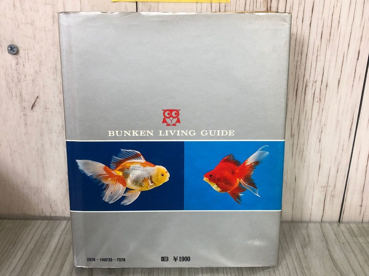 ランチュウ中心 金魚の飼育と繁殖 大野三男 文研出版 1976年9月20日 昭和51年 初版 金魚 ランチュウ 飼育 繁殖 高級金魚 カバー付き_画像2