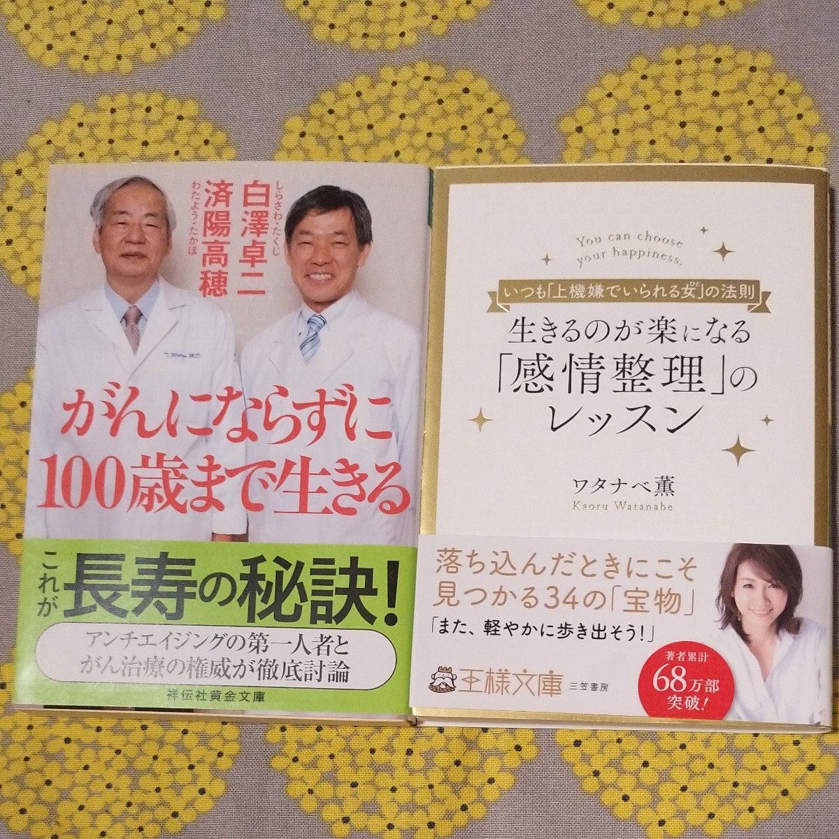 生きるのが楽になる「感情整理」のレッスン他 