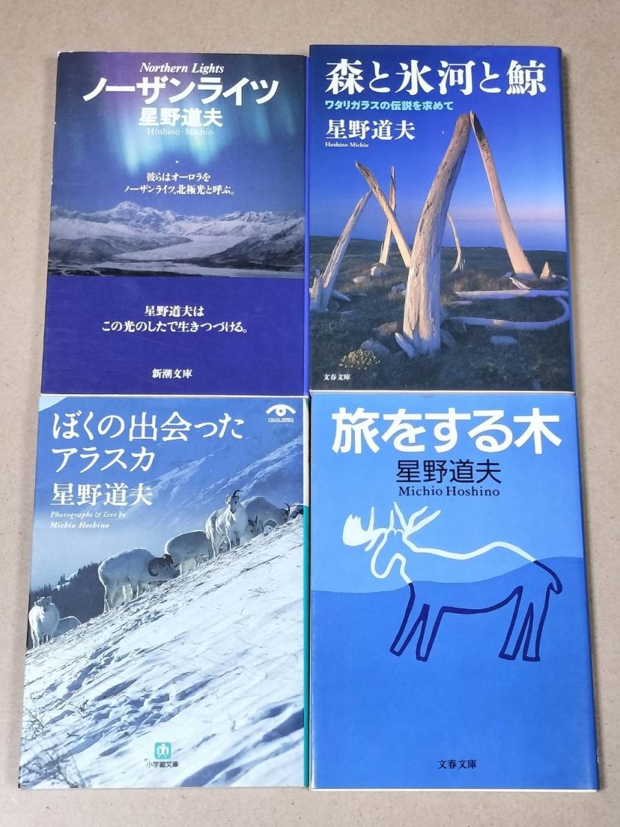 星野道夫4冊セット　旅をする木　森と氷河と鯨　ぼくの出会ったアラスカ　ノーザンライツ _画像1