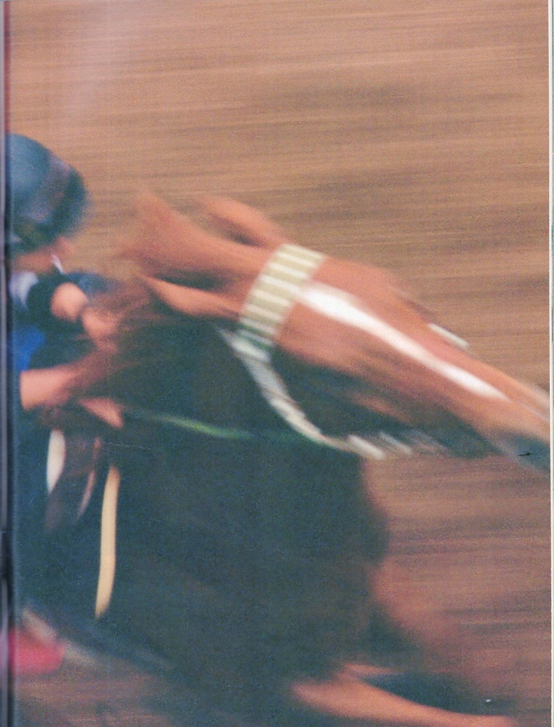 雑誌Sports Graphic Number 292(1992.6/5号)◆ダービー直前競馬総力特集/ミホノブルボン、必勝宣言/無敗伝説/武豊×明石家さんま/天皇賞◆の画像7