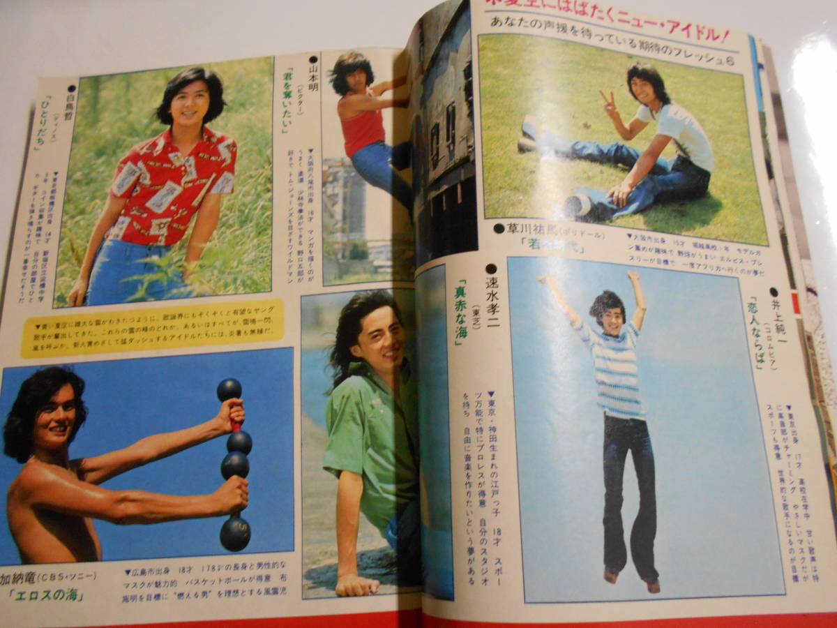 週刊明星 1975年昭和50年8 24 志穂美悦子水着 岡田奈々/林寛子/秋吉久美子/三浦リカ/八代亜紀/浅田美代子/西城秀樹/岩崎宏美/吉田拓郎_画像7