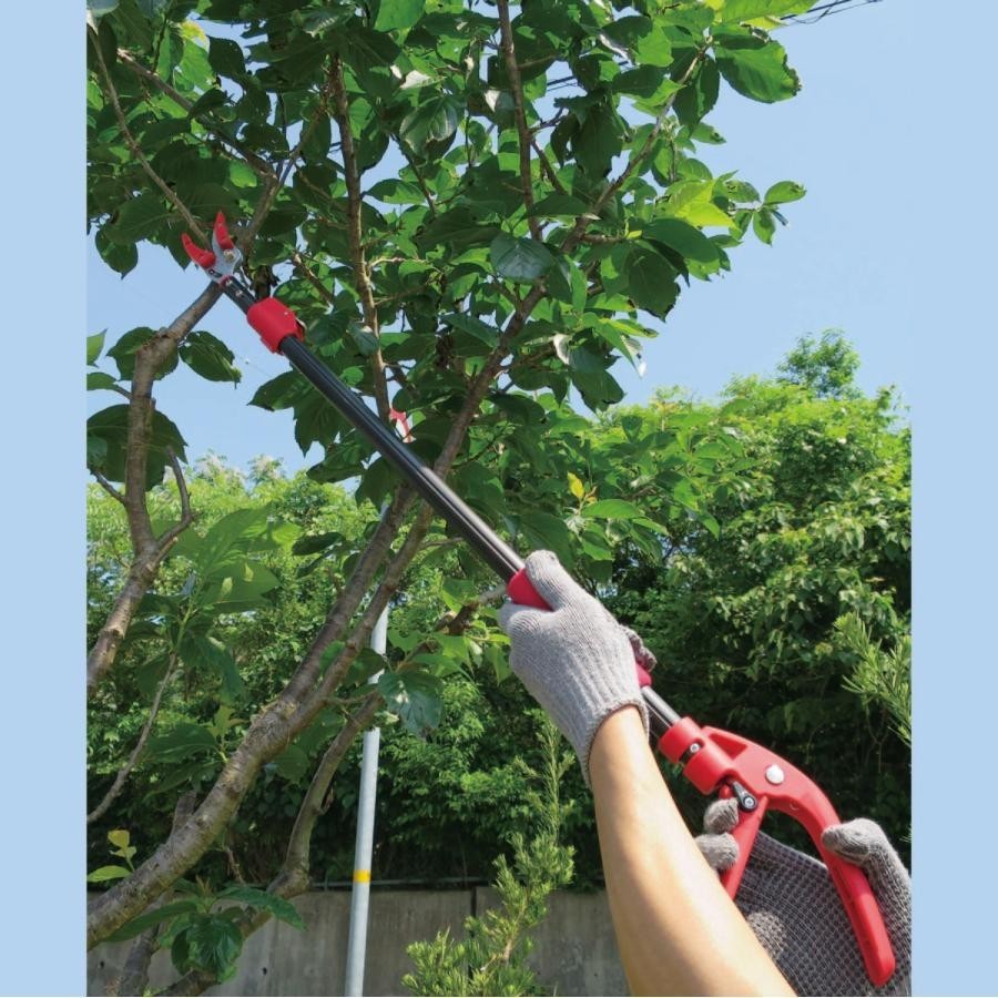  pruning at high place basami the longest 92~142cm pruning . pruning scissors branch .. scissors height branch cut . pruning at high place . height branch .. tongs super light weight light weight flexible . easy garden tree 