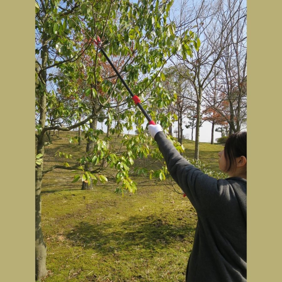  pruning at high place basami the longest 92~142cm pruning . pruning scissors branch .. scissors height branch cut . pruning at high place . height branch .. tongs super light weight light weight flexible . easy garden tree 