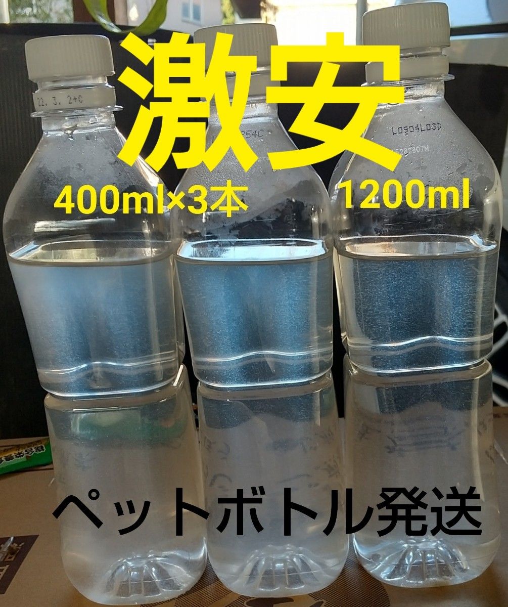 ゾウリムシ　1200ml　　メダカ　めだか　金魚　ミジンコの餌に…