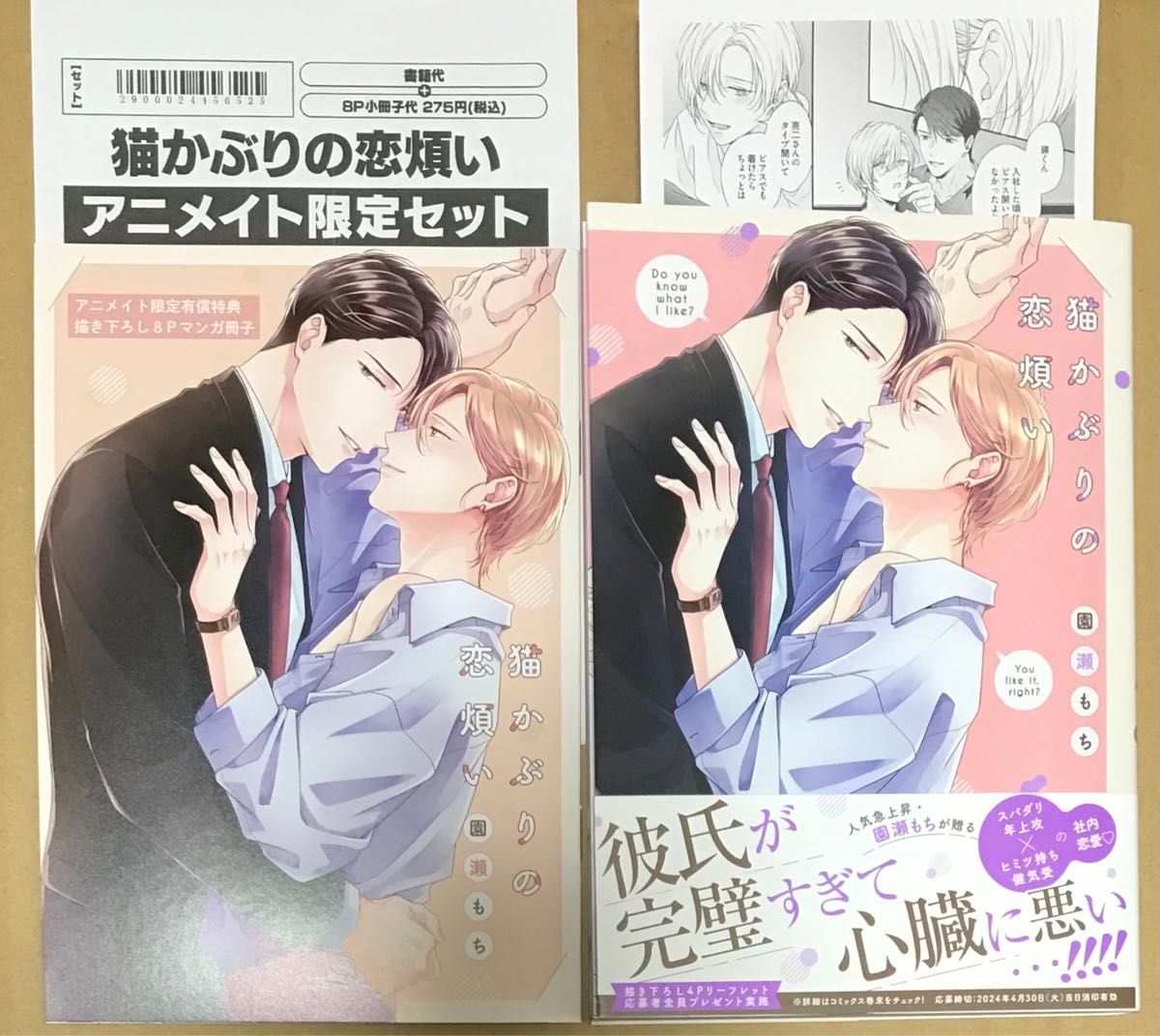 新品未読品 猫かぶりの恋煩い アニメイト限定描き下ろし小冊子