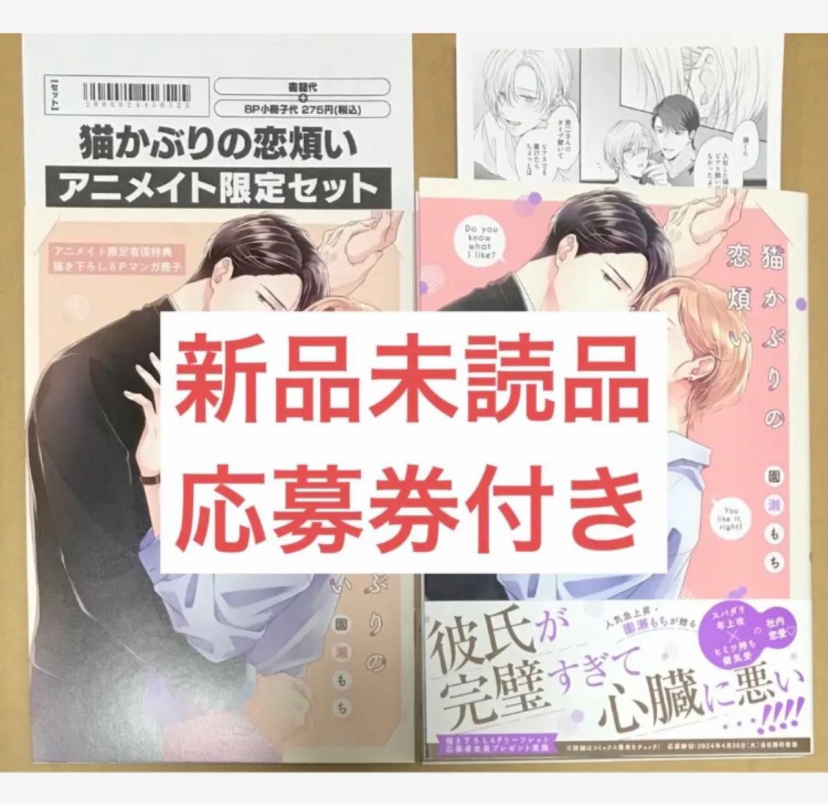 新品未読品 猫かぶりの恋煩い アニメイト限定描き下ろし小冊子