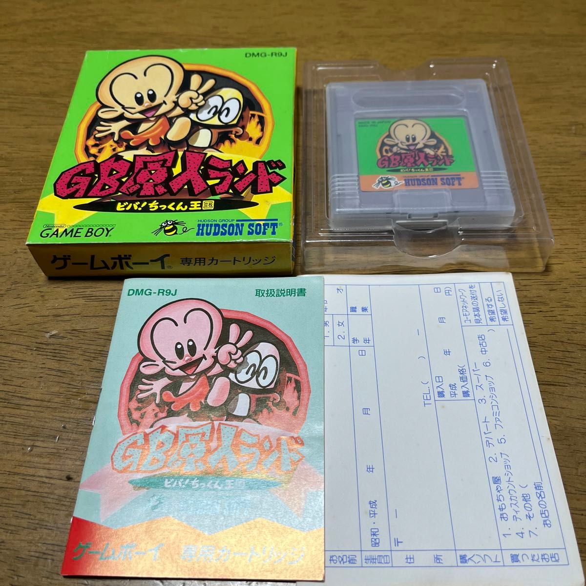 ゲームボーイ GB原人ランド ビバ ちっくん王国 ニンテンドー ゲームボーイ GB原人ランド ビバ ちっくん王国 ニンテンドー