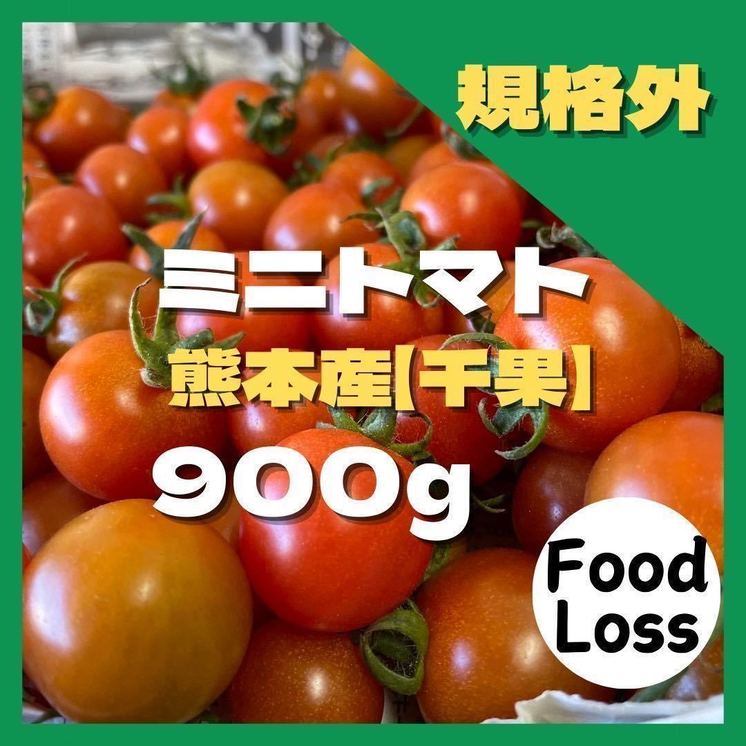 ミニトマト　950円 フードロス　野菜　熊本産　規格外　訳あり 安い　おやつ_画像1