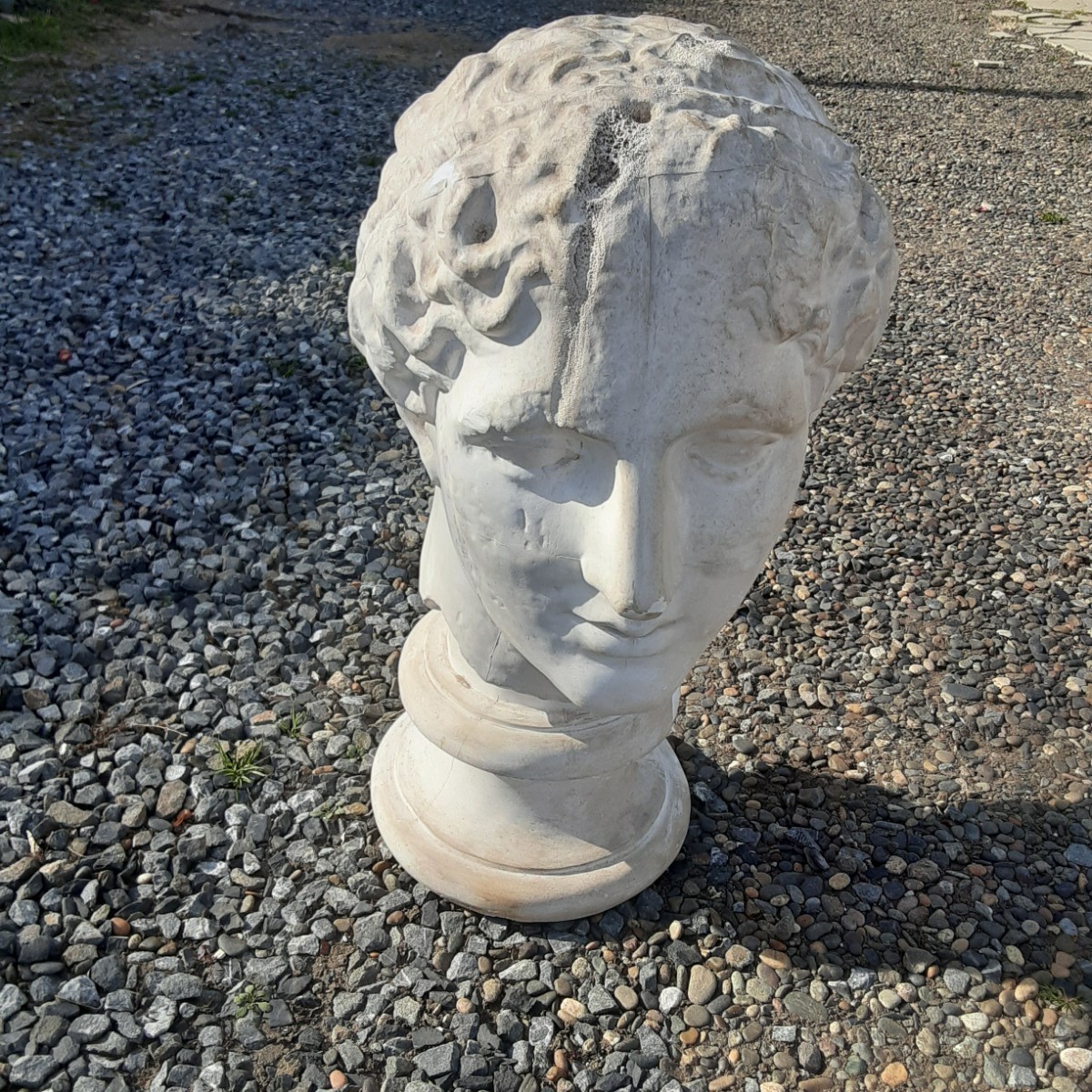 石膏像 パルテノン首像 ラボルトの頭部 置物 オブジェ デッサン 美術