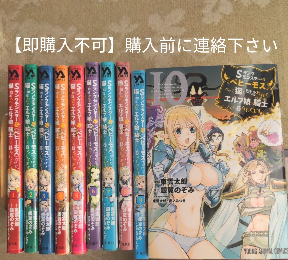 【即購入不可】購入前に連絡下さい　Ｓランクモンスターの《ベヒーモス》だけど、猫と間違われてエルフ娘の騎士・・・既刊全10巻セット