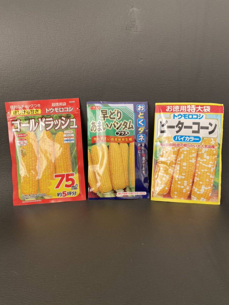 20204年1月入荷 お徳用BIGサイズ トウモロコシ種 3種セット 4000円相当 75ml 約5坪分 ゴールドラッシュ&バンタム&ピーターコーン_画像1