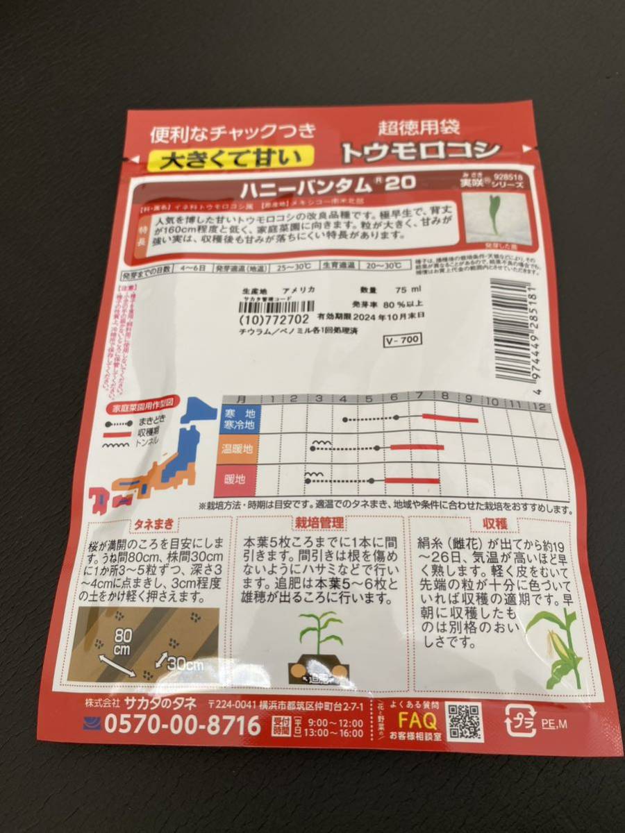 2024年新物入荷 超徳用袋　役5坪分×2 甘いとうもろこし種　タネ　ハニーバンタム&ゴールドラッシュ トウモロコシ コーン 2500円相当_画像2