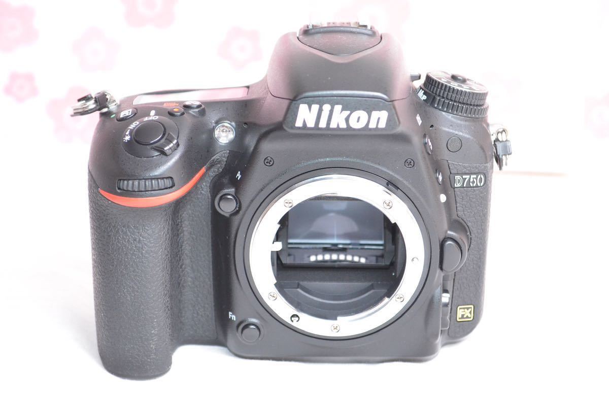 ☆極美品☆Nikon D750 セット☆WiFi搭載!カメラバック付き ☆極美品☆Nikon D750 セット☆WiFi搭載!カメラバック付き