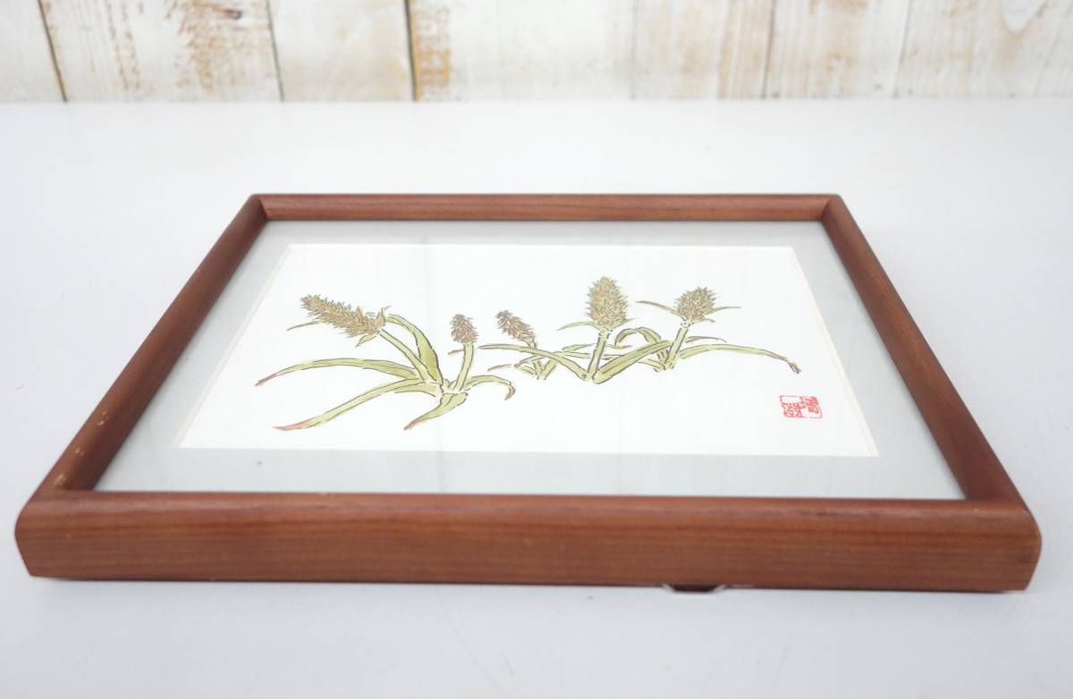  modern times art art *BOTANICAL ILLUSTRATIONSbotanika lure to plant . autograph genuine work guarantee * work name of product unknown * author increase ...SUMIKO MASUBUCHI