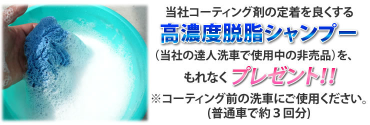 プレミアム ガラスコーティング 300ml 最高級 お徳用 ★送料無料!! 脱脂シャンプー マイクロファイバータオル 付 ONE-ZERO コーティング剤_画像9