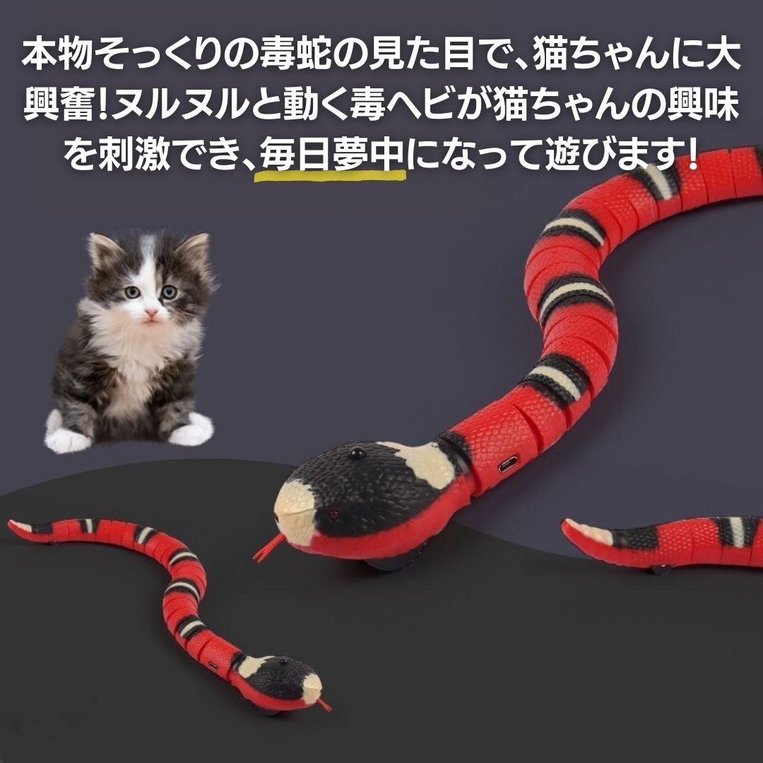【ランキング1位獲得】 猫 おもちゃ ヘビ サンゴヘビ 電動 蛇 珊瑚蛇 毒蛇 ペット 一人遊び 羽根 玩具 猫用 ネコ グッズ 猫おもちゃ電動の画像4