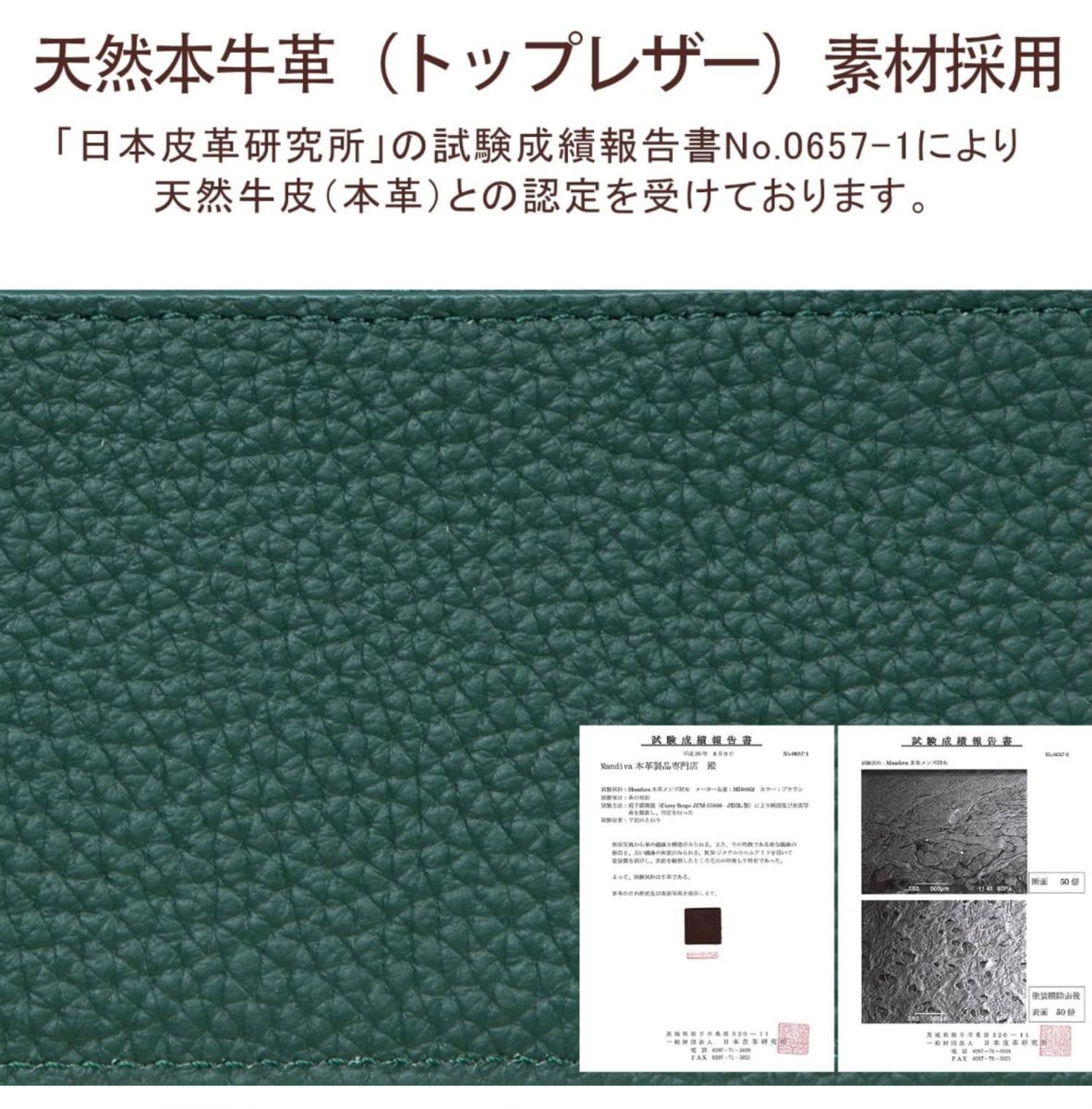 【大人気使いやすい】コンパクト財布　グリーン　カード派　天然本牛皮　プレゼント　男女兼用　小銭入れ ミニ財布 本革 Mandiva