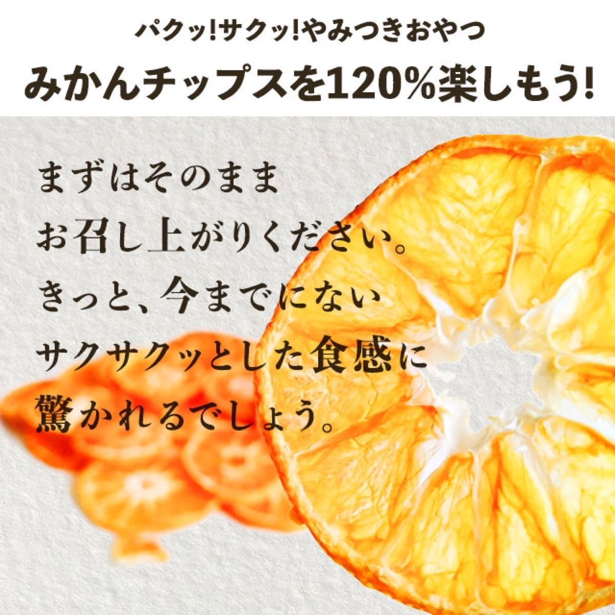 【割れ】みかんチップス 60g（30g×2袋）ドライフルーツ 新品 国産 無添加 砂糖不使用 熊本県産