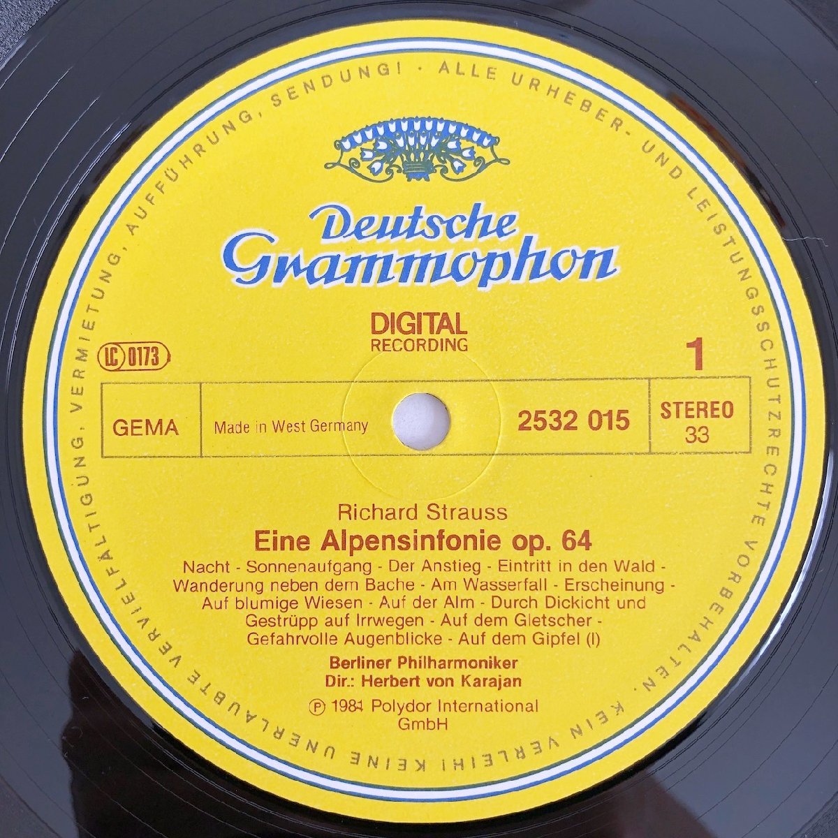 LP/ カラヤン、ベルリンフィル / R.シュトラウス：アルプス交響曲 / ドイツ盤 DIGITAL DGG 2532015 40111_画像3