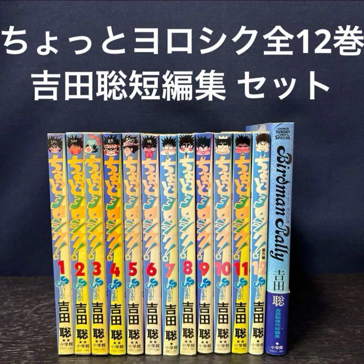 ちょっとヨロシク 全巻 1〜12巻 番外編 短編集 セット まとめ ちょっとヨロシク 全巻 1〜12巻 番外編 短編集 セット まとめ
