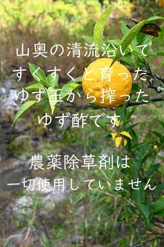 柚のや★送料込★高知県産ゆず酢900ml 4本 熟しぼり★農薬不使用★柚子酢柚子果汁_画像2