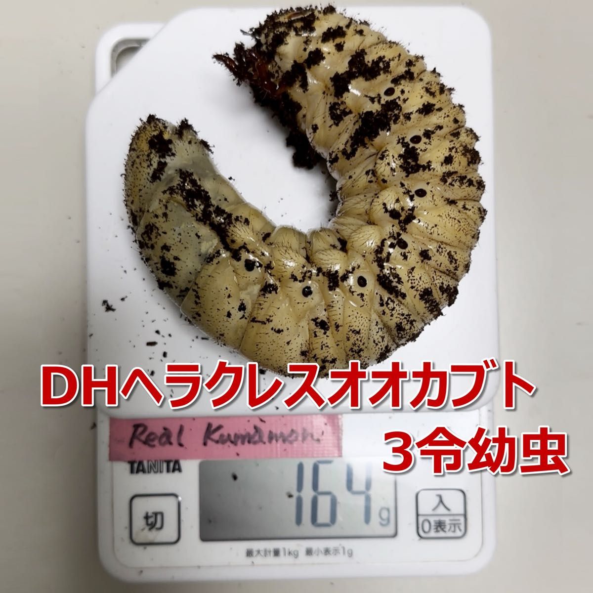 カブトマット　10L　2個　完熟発酵　菌床マット　プレミアム1個+スタンダード1個　国産・外国産カブトムシに最適！！　幼虫・産卵