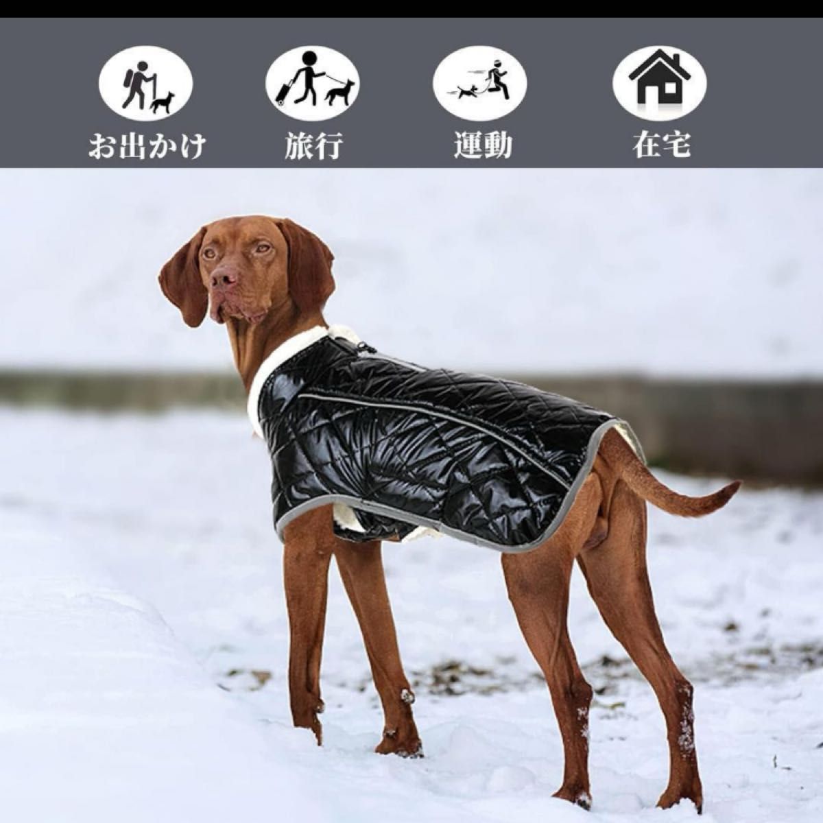 犬服 ドッグウェア 中型犬用　Tinsin ペット 冬用服 犬 服 防寒着 コート 犬 ジャケット 小型犬 中