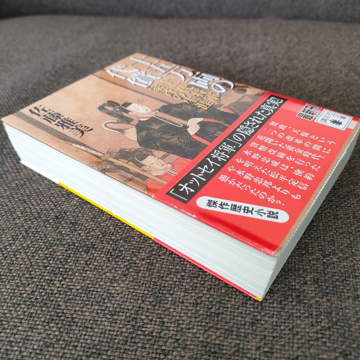 十五万両の代償　十一代将軍家斉の生涯 （講談社文庫　さ４０－３２） 佐藤雅美／〔著〕